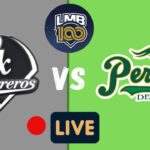 Pericos vs Guerreros: ESTADÍSTICAS y COMO VER serie del 4 al 6 de julio LMB 2025