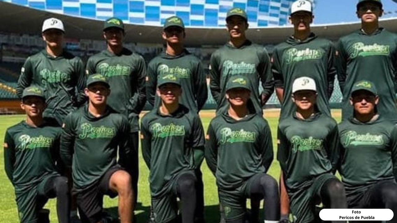 Pericos de Puebla ACADEMIA es TOP en México